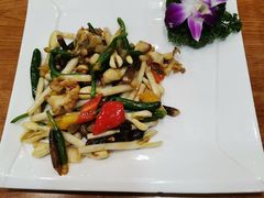 花生苗螺片-周锦记广式餐厅