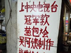 -孙奶奶葱包桧