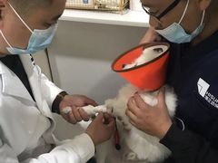 -子乐宠物医院