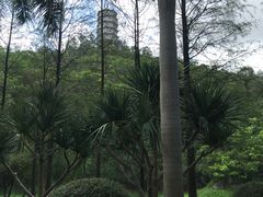 -深圳国际园林花卉博览园