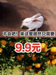 -前小桔亲子创意农场·草莓采摘·露营烧烤