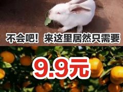 -前小桔亲子创意农场·草莓采摘·露营烧烤