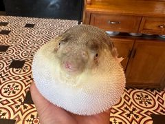 -永安鱼庄·镇江菜(丁卯店)