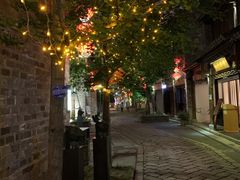 -花·fleur古董西餐厅(西城夜未央店)