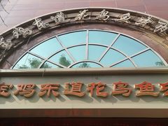 -宝鸡东道花鸟鱼虫市场(吉利花园商场店)