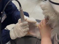 -北京派仕佳德动物医院·超导核磁·CT·神经科·骨科·内外科·急重症管理中心