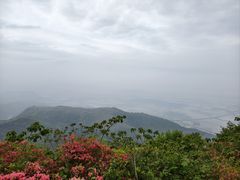 -瑞安圣井山景区