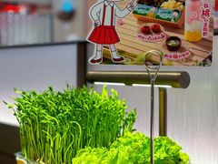 -海底捞火锅(凤凰广场店)