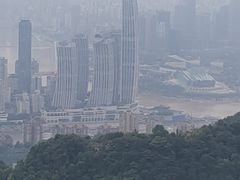 -大金鹰园