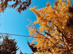 -龙华寺