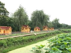 -上膳源有机农场