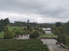 -张坝桂圆林公园