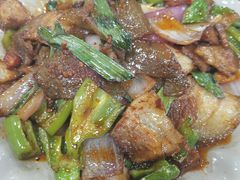 苕皮回锅肉-晏老九豆花饭家常菜(上海城店)