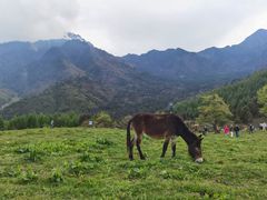 -硗碛藏寨·神木垒景区