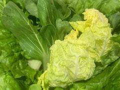 蔬菜拼盘-食潮汕头鲜牛馆(望京保利店)