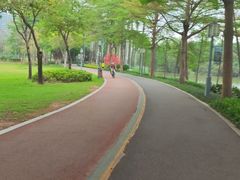 -顺峰山公园