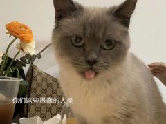 -有何Book(六堰体育馆店)