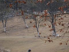 -钟山体育运动公园