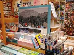 零售区-猫的天空之城概念书店(束河店)