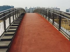 -仙游岛公园