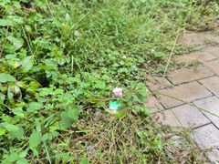 -青龙山国家森林公园