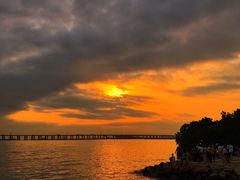 -宝安西湾红树林湿地公园