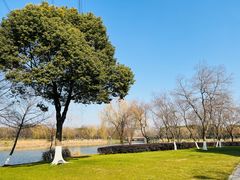 -九里河湿地公园