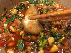 -肖肖酸萝卜鱼火锅(总店)