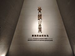 -秦始皇帝陵博物院-丽山园
