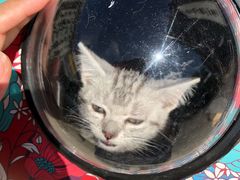 -宠颐生中康贝怡动物医院