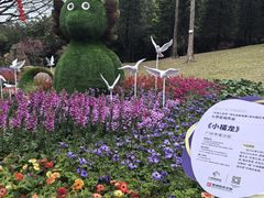 -广州市白云山风景名胜区