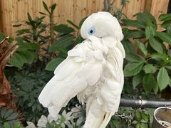 -南宫五洲植物乐园