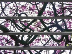 -郑和公园
