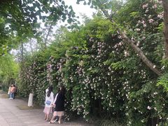 -龙潭水乡