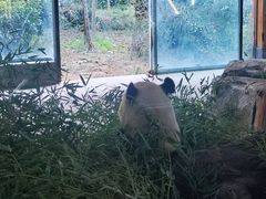 -云南野生动物园