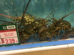 -御唐府海珊瑚主题餐厅