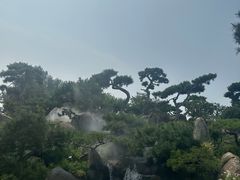 -罗红摄影艺术馆