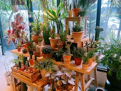 -自由生长植物工作室(深港花卉中心店)