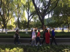 -昆山城市生态森林公园