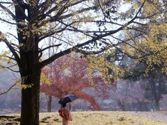 -枫雅和服体验(奈良店)