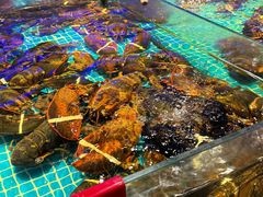 -驻海渔市(置信店)