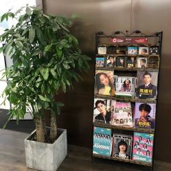 -崇尚GAVIN STYLE臻选