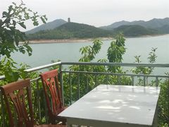 -望湖烤鱼