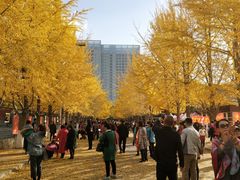 -辽宁大学(崇山校区)
