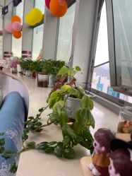 -瓷肌博士·祛痘科技美肤