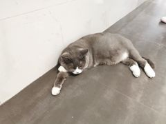 -乐果甜心·潮汕冰室(南澳后宅分店)
