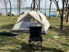 -北龙湖湿地公园