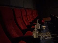 -飞扬影城(正佳IMAX店)