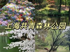 -共青国家森林公园-南大门停车场