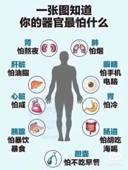 点击看大图 -香薇妮丝女子减肥院